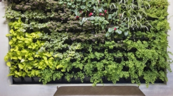 WhatsApp Image 2023-08-22 at 12.37.41