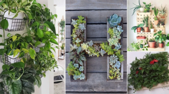 Elegant Green Wall Letters (1)