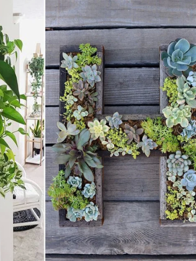 Elegant Green Wall Letters (1)