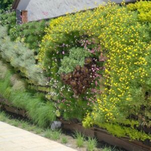 Elegant Green Wall Pocket Panel (2)