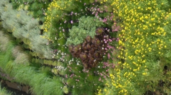 Elegant Green Wall Pocket Panel (2)