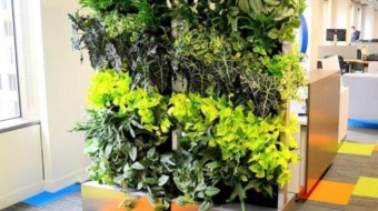 Elegant Green Wall Pocket Panel (5)