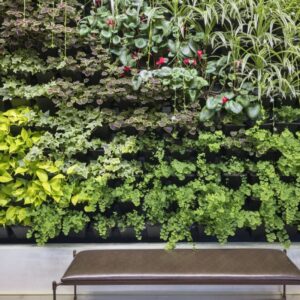 Elegant Green Wall Pot Sysytem (1)