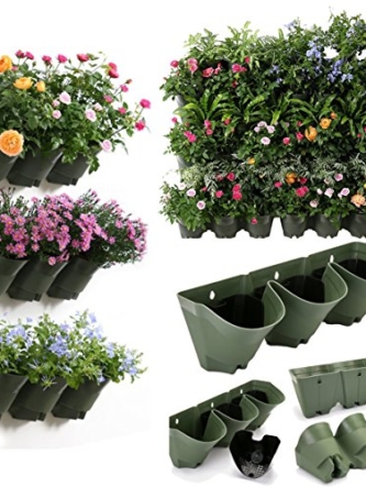 Elegant Green Wall Pot Sysytem (2)