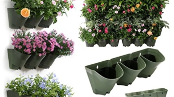 Elegant Green Wall Pot Sysytem (2)