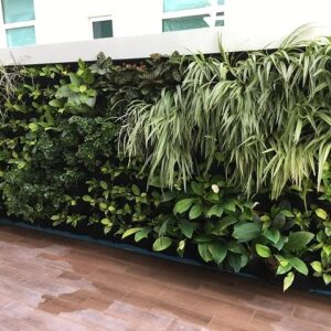 Elegant Green Wall Pot Sysytem (4)