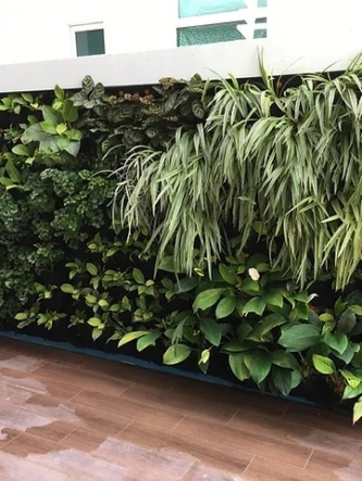 Elegant Green Wall Pot Sysytem (4)