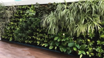 Elegant Green Wall Pot Sysytem (4)