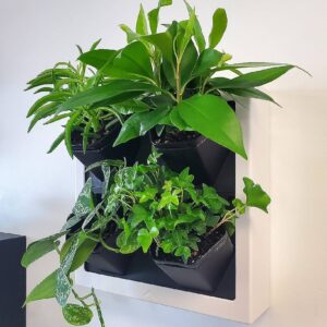 Elegant Green Wall Pot Sysytem (5)
