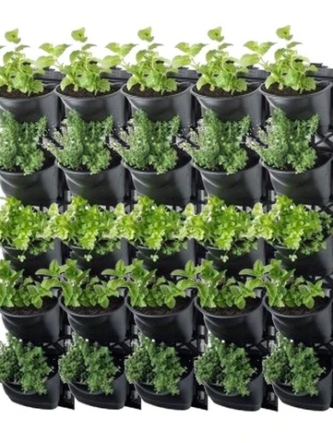 WhatsApp Image 2023-08-22 at 12.37.414