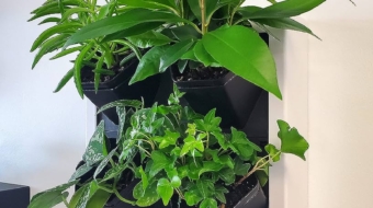 E;egant Green Wall Pot Image