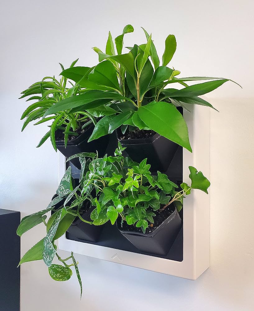E;egant Green Wall Pot Image