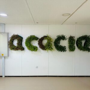 Elegant Green Wall 1