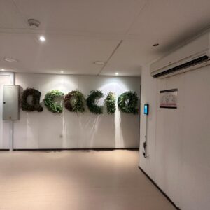 Elegant Green Wall 2